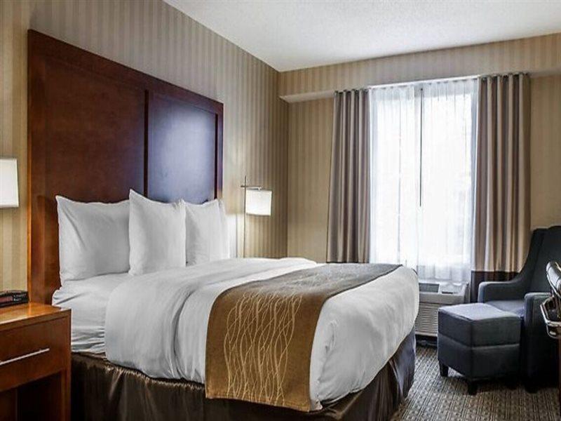 Comfort Inn & Suites Sturbridge-Brimfield Εξωτερικό φωτογραφία